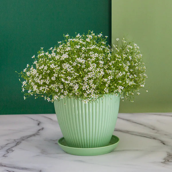 Urban Resin Plant Pot Set